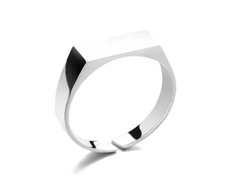 Stainless Steel Ring