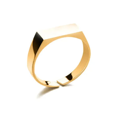 Stainless Steel Ring